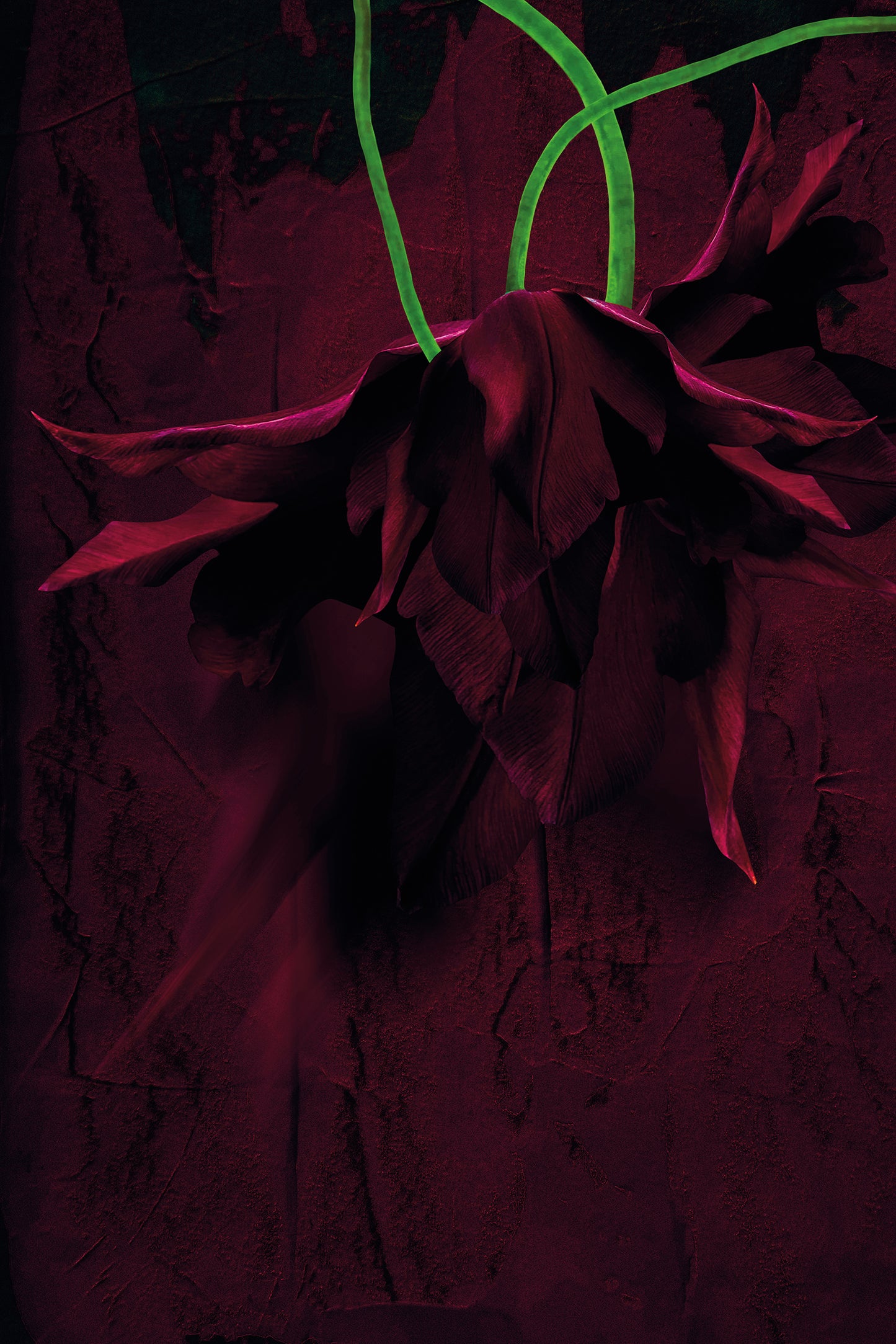 Exklusive digitale Collage 'glowing in the darkness' von Theresa Lambrecht und Karolin Kruger, Darstellung von Leuchtkraft in der Dunkelheit, auf Alu-Dibond.