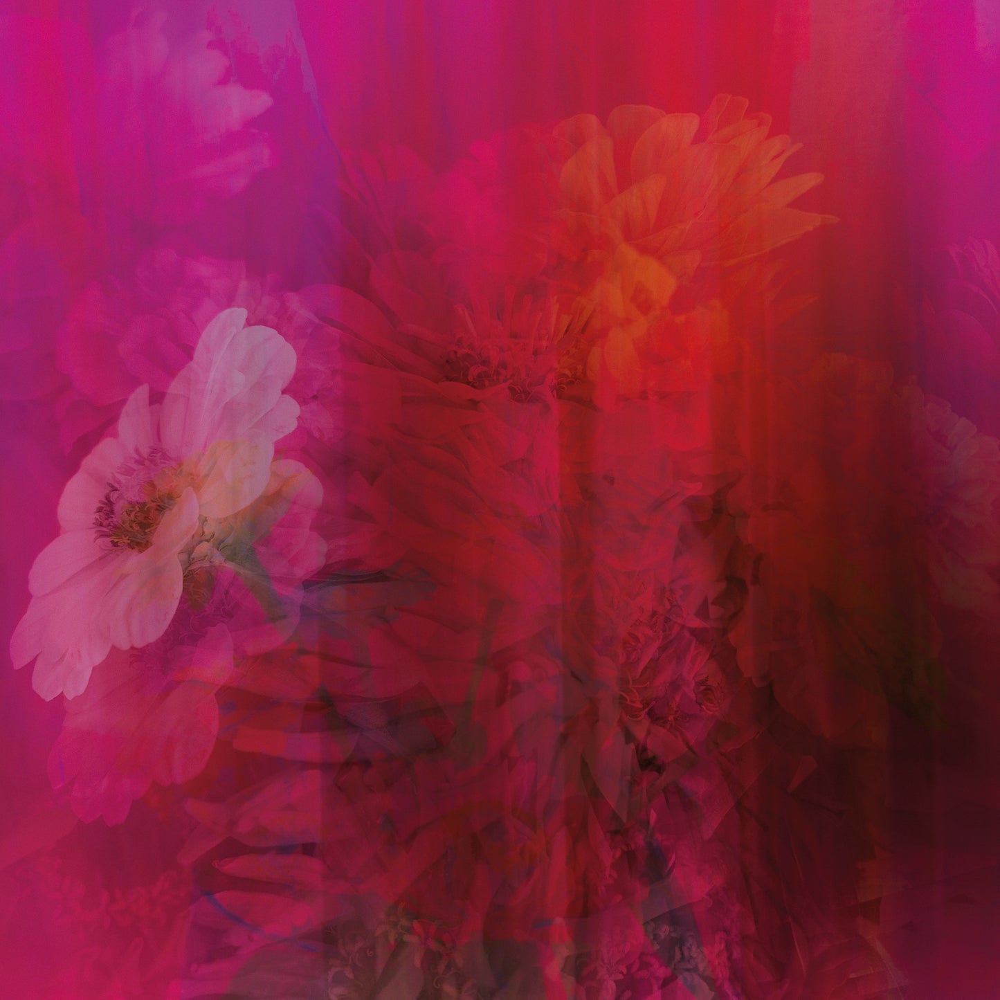 Limitierte Edition 'secret' von Theresa Lambrecht und Karolin Kruger, digitale Collage, die verborgene Emotionen und natürliche Elemente vereint, verfügbar auf Alu-Dibond.