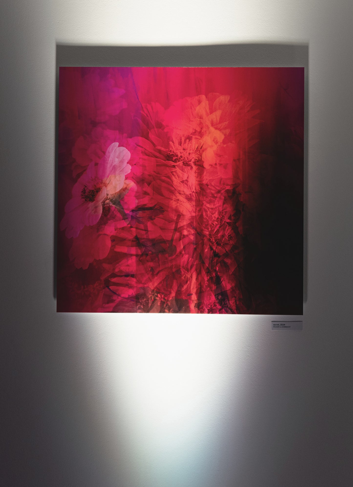 Limitierte Edition 'secret' von Theresa Lambrecht und Karolin Kruger, digitale Collage, die verborgene Emotionen und natürliche Elemente vereint, verfügbar auf Alu-Dibond.