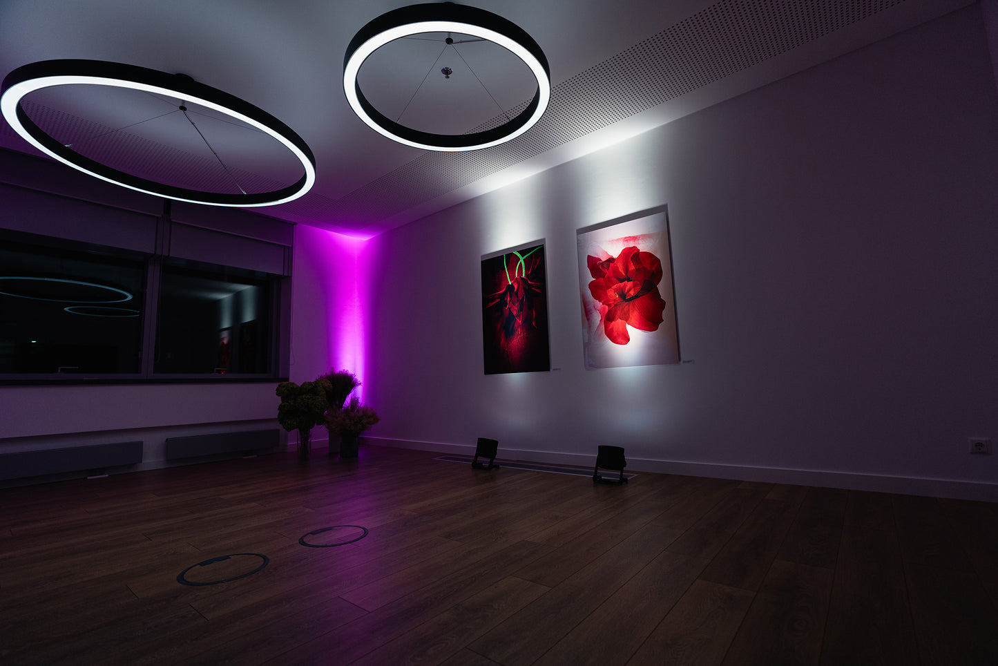 Kunstwerk 'shining in the light' von Theresa Lambrecht und Karolin Kruger, digitale Collage, die Licht und Natur in harmonischer Form zeigt, erhältlich auf Alu-Dibond.