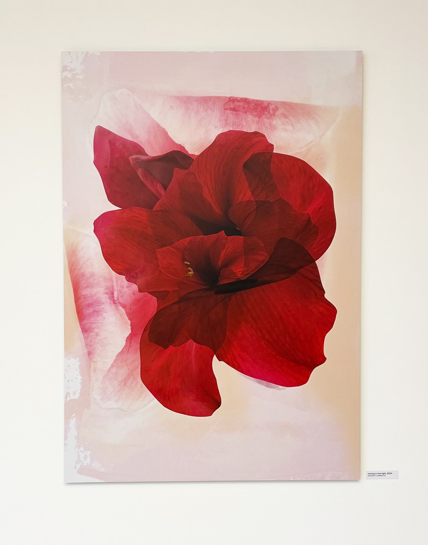 Kunstwerk 'shining in the light' von Theresa Lambrecht und Karolin Kruger, digitale Collage, die Licht und Natur in harmonischer Form zeigt, erhältlich auf Alu-Dibond.