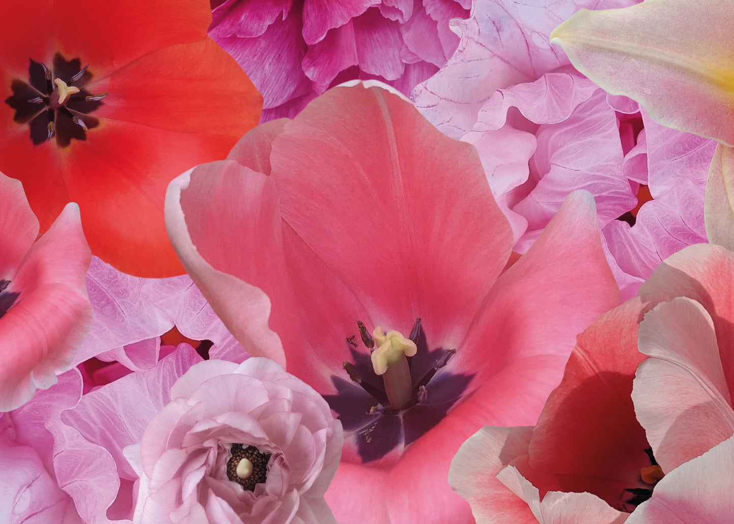 Kunstwerk 'spring' von Theresa Lambrecht und Karolin Kruger, digitale Collage, die den Aufbruch und die Farbenpracht des Frühlings darstellt, erhältlich auf Alu-Dibond.