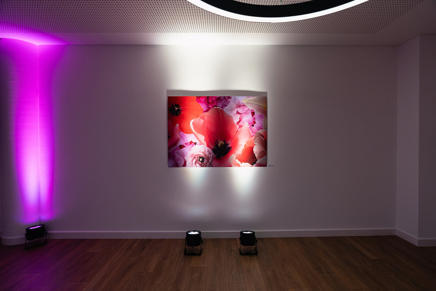 Kunstwerk 'spring' von Theresa Lambrecht und Karolin Kruger, digitale Collage, die den Aufbruch und die Farbenpracht des Frühlings darstellt, erhältlich auf Alu-Dibond.