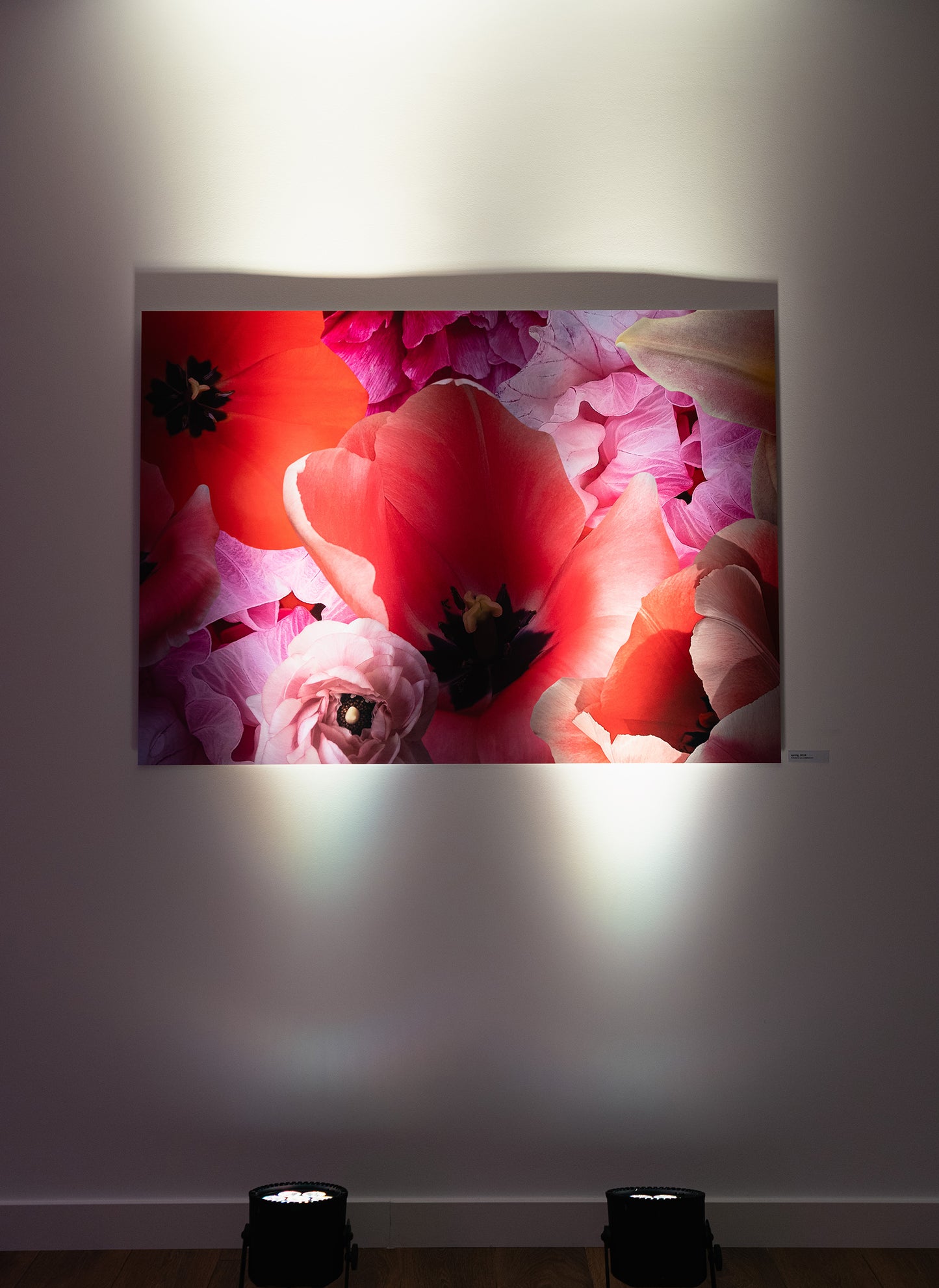 Kunstwerk 'spring' von Theresa Lambrecht und Karolin Kruger, digitale Collage, die den Aufbruch und die Farbenpracht des Frühlings darstellt, erhältlich auf Alu-Dibond.