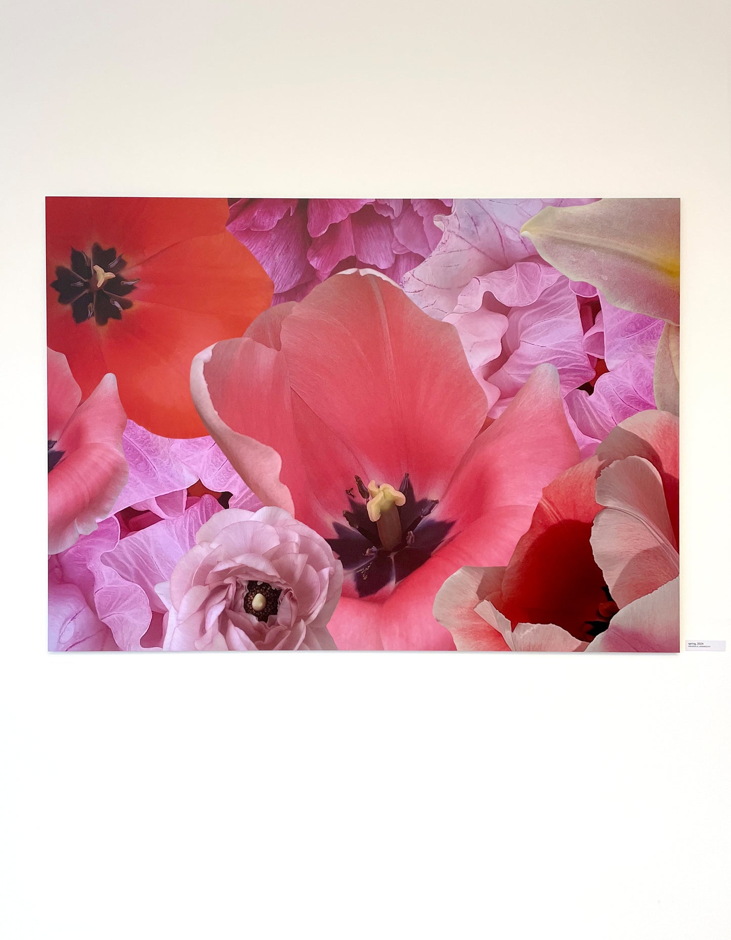 Kunstwerk 'spring' von Theresa Lambrecht und Karolin Kruger, digitale Collage, die den Aufbruch und die Farbenpracht des Frühlings darstellt, erhältlich auf Alu-Dibond.