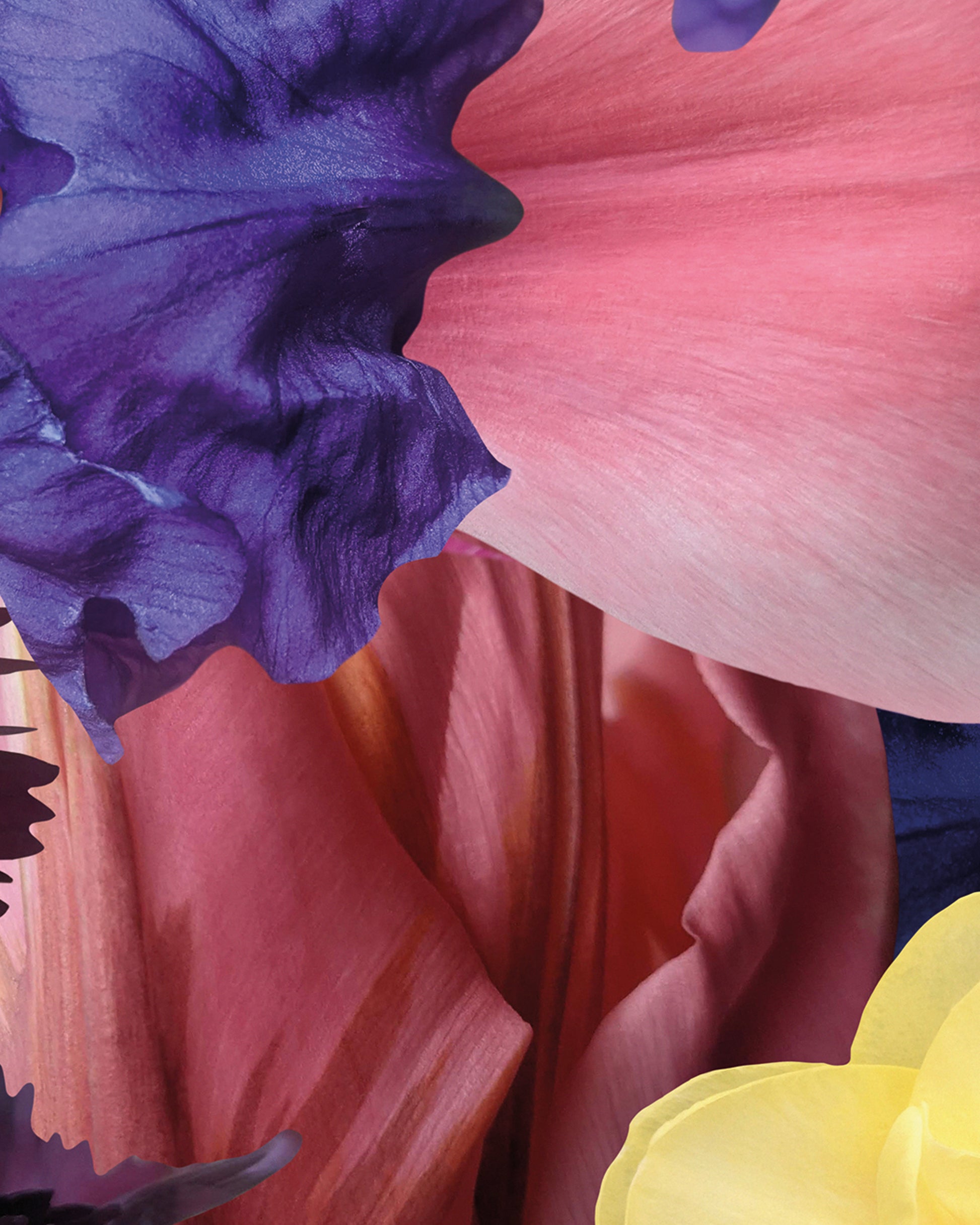 Kunstwerke von Theresa Lambrecht und Karolin Kruger aus der Ausstellung 'the garden in my heart' bei Dentons Kanzlei Berlin Gendarmenmarkt, digitale Kunst, Blumen Kunst, Großformate Blumen, Art for Sale, trust