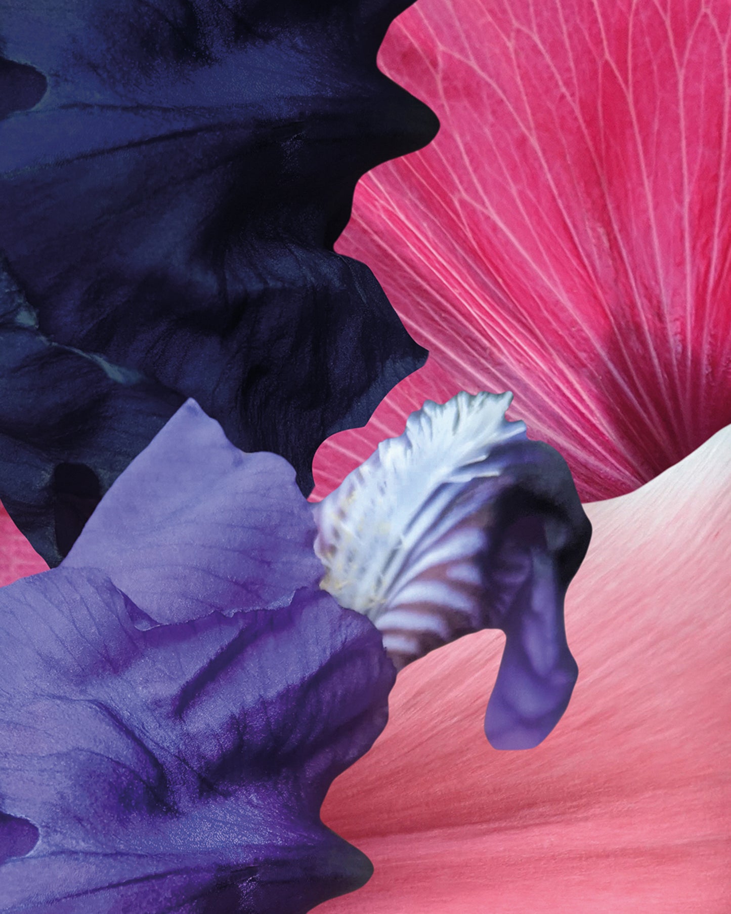 Kunstwerke von Theresa Lambrecht und Karolin Kruger aus der Ausstellung 'the garden in my heart' bei Dentons Kanzlei Berlin Gendarmenmarkt, digitale Kunst, Blumen Kunst, Großformate Blumen, Art for Sale, trust