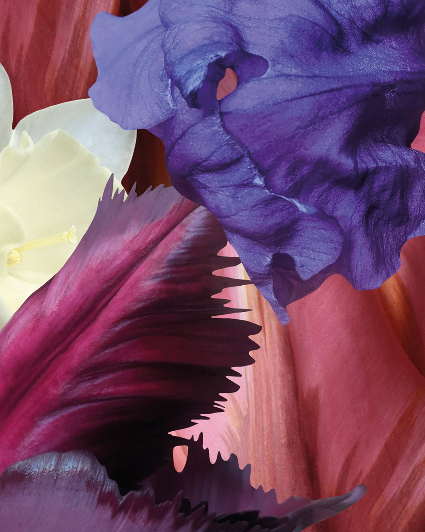 Kunstwerke von Theresa Lambrecht und Karolin Kruger aus der Ausstellung 'the garden in my heart' bei Dentons Kanzlei Berlin Gendarmenmarkt, digitale Kunst, Blumen Kunst, Großformate Blumen, Art for Sale