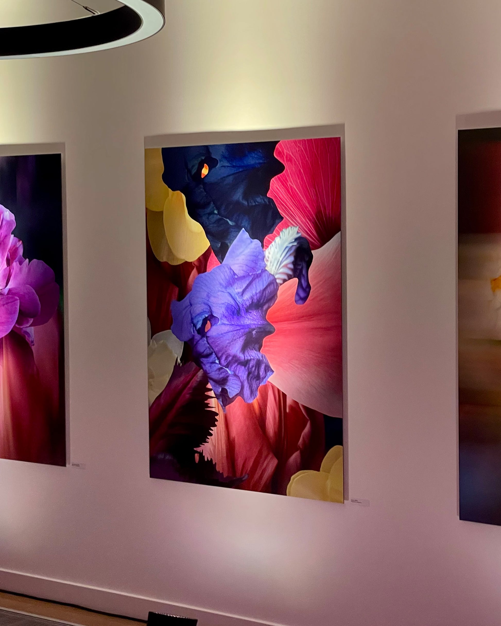 Kunstwerke von Theresa Lambrecht und Karolin Kruger aus der Ausstellung 'the garden in my heart' bei Dentons Kanzlei Berlin Gendarmenmarkt, digitale Kunst, Blumen Kunst, Großformate Blumen, Art for Sale, trust