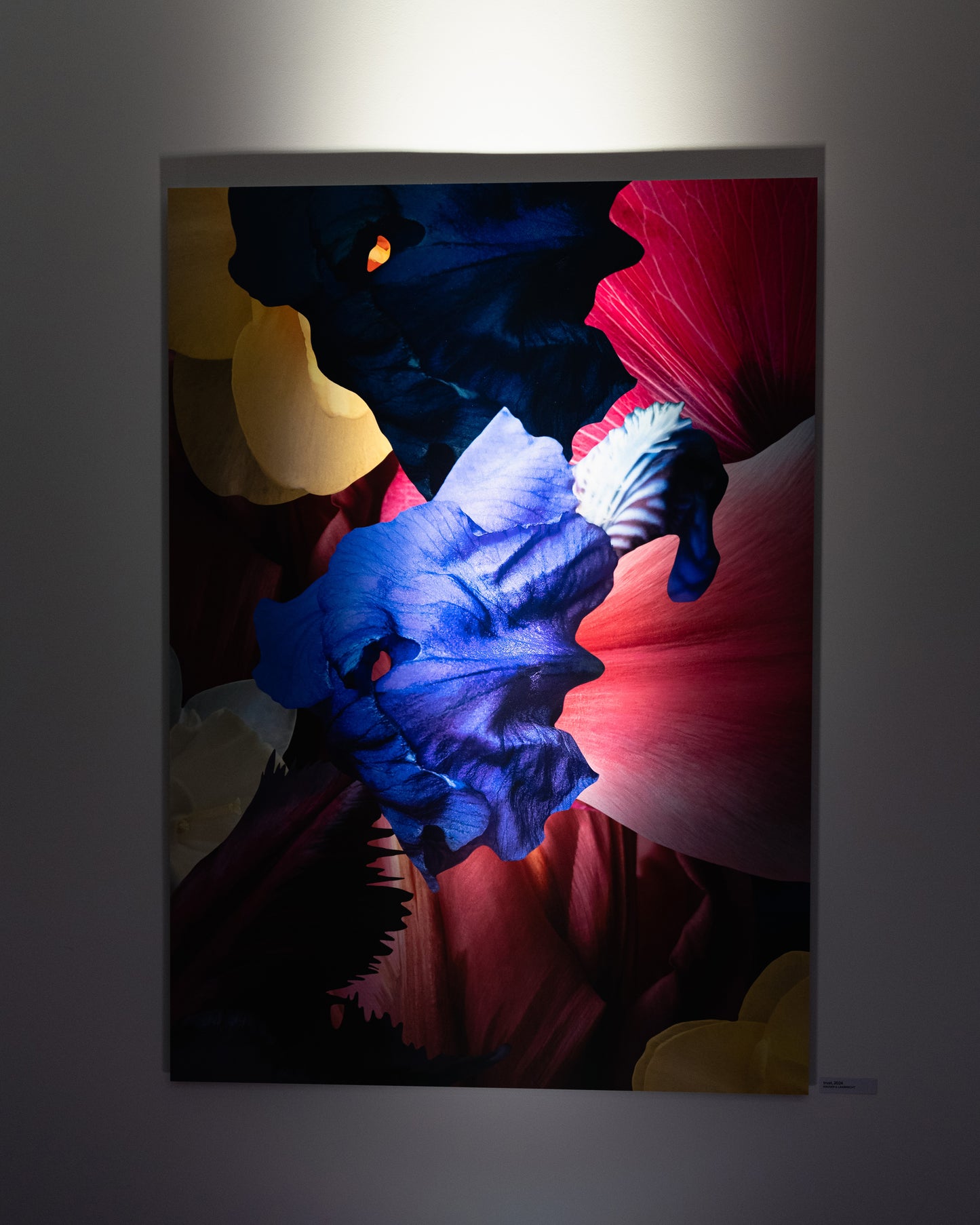 Kunstwerke von Theresa Lambrecht und Karolin Kruger aus der Ausstellung 'the garden in my heart' bei Dentons Kanzlei Berlin Gendarmenmarkt, digitale Kunst, Blumen Kunst, Großformate Blumen, Art for Sale, trust