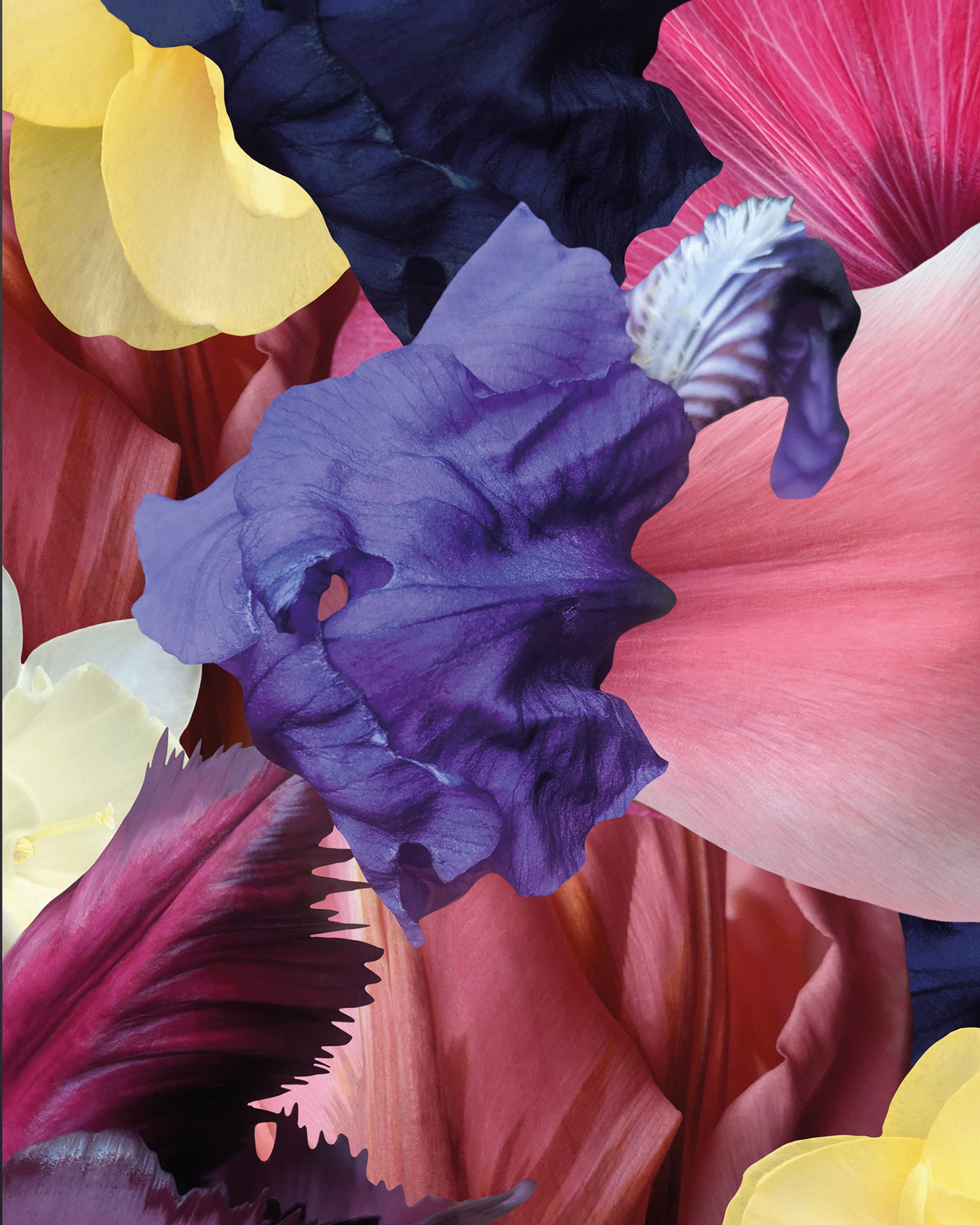 Kunstwerk 'trust' von Theresa Lambrecht und Karolin Kruger, digitale Collage, die Vertrauen und Natur in Einklang bringt, erhältlich auf Alu-Dibond.