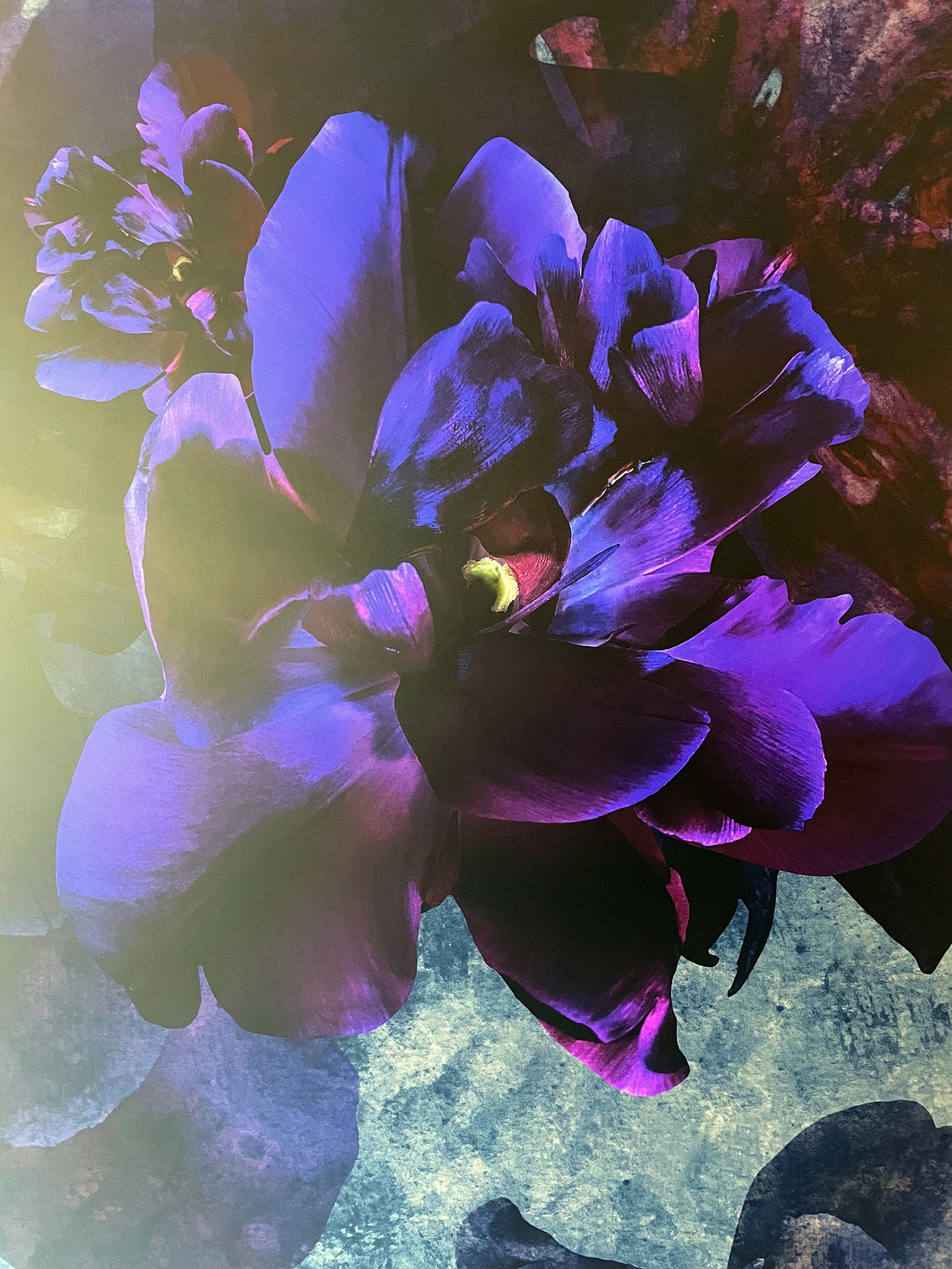 Exklusive digitale Collage 'purple night' von Theresa Lambrecht und Karolin Kruger, Darstellung einer mystischen lila Nacht, auf Alu-Dibond.