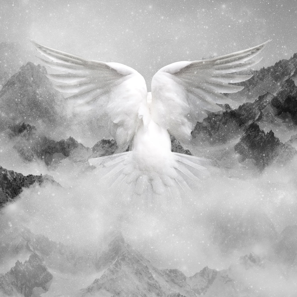 Digitale Collage 'peace' von Theresa Lambrecht – modernes Kunstwerk inspiriert von Natur und Emotionen, erhältlich als Fine Art Print."