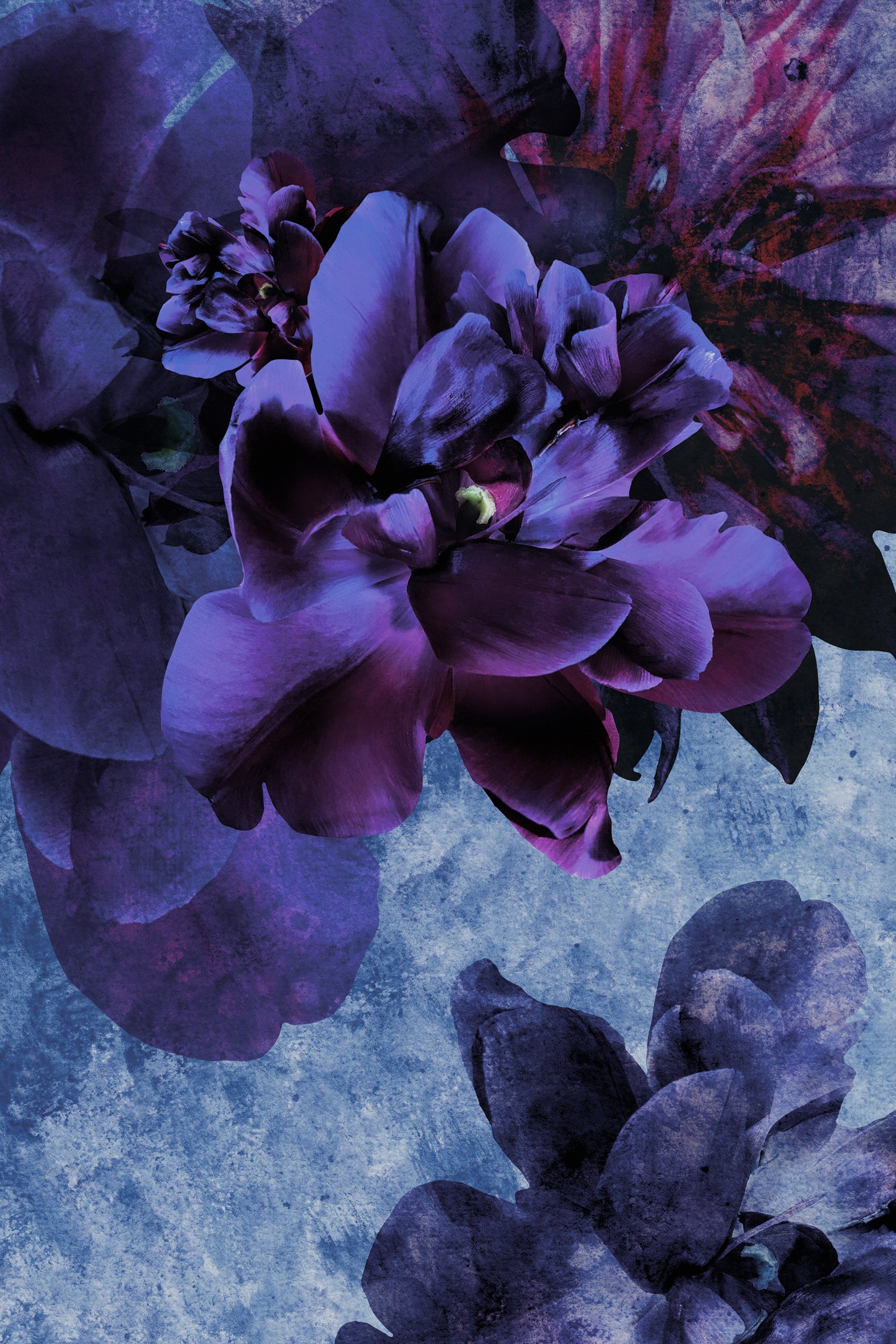 Exklusive digitale Collage 'purple night' von Theresa Lambrecht und Karolin Kruger, Darstellung einer mystischen lila Nacht, auf Alu-Dibond.