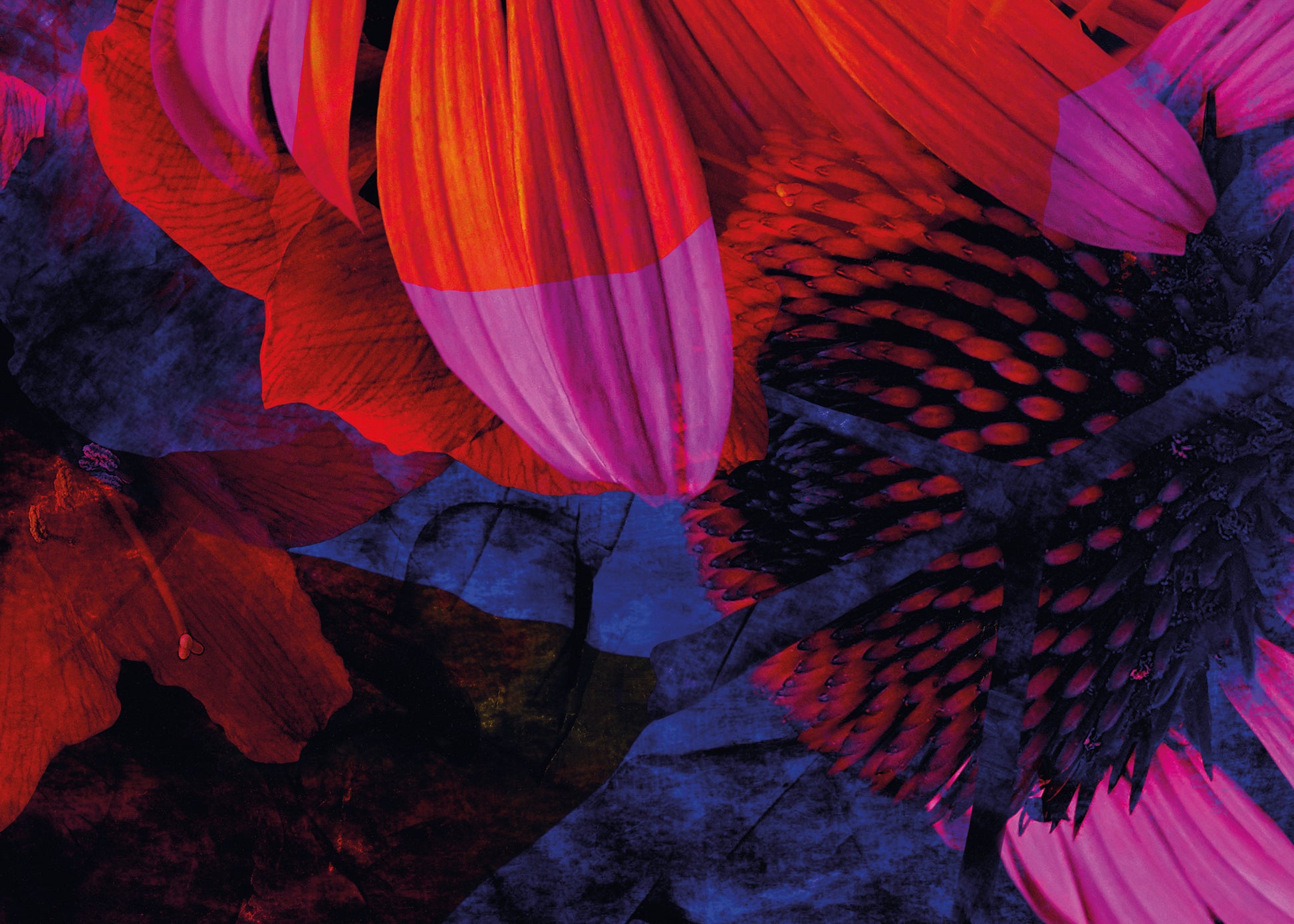 Exklusives Kunstwerk 'brave' von Theresa Lambrecht und Karolin Kruger, digitale Collage, die Mut und Naturverbundenheit darstellt, auf hochwertigem Alu-Dibond.