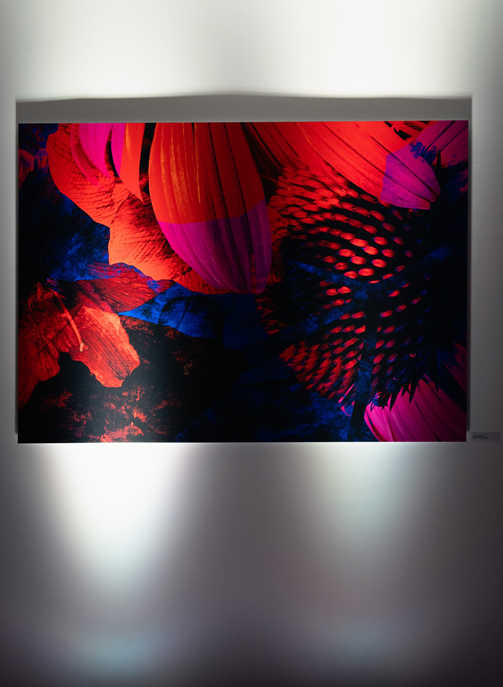 Exklusives Kunstwerk 'brave' von Theresa Lambrecht und Karolin Kruger, digitale Collage, die Mut und Naturverbundenheit darstellt, auf hochwertigem Alu-Dibond.