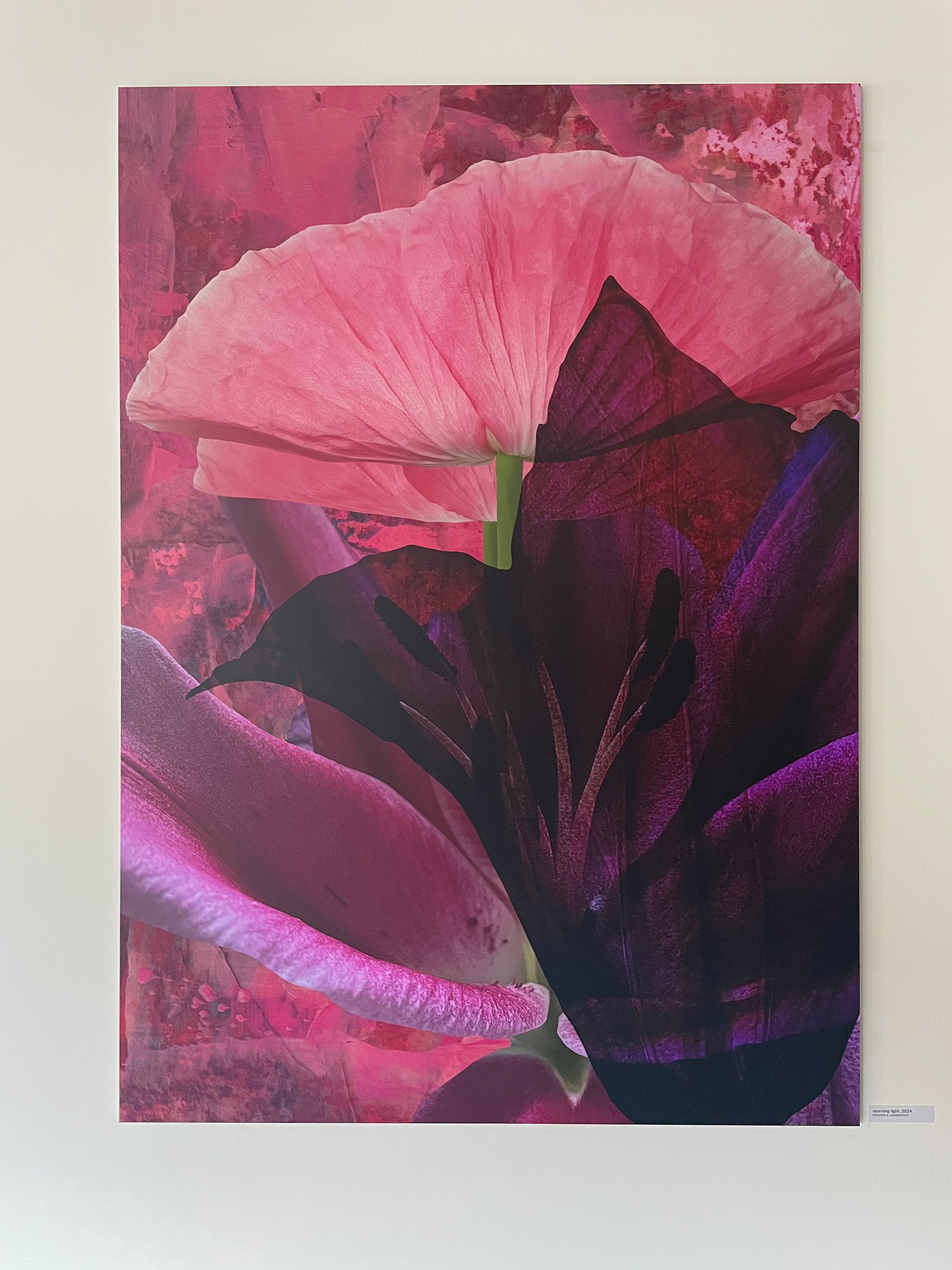 Limitierte Edition 'morning light' von Theresa Lambrecht und Karolin Kruger, digitale Collage, die die Frische des Morgenlichts einfängt, verfügbar auf Alu-Dibond.