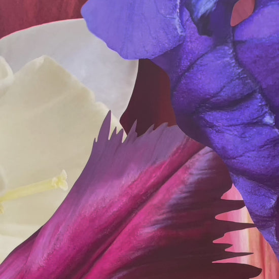 Kunstwerke von Theresa Lambrecht und Karolin Kruger aus der Ausstellung 'the garden in my heart' bei Dentons Kanzlei Berlin Gendarmenmarkt, digitale Kunst, Blumen Kunst, Großformate Blumen, Art for Sale