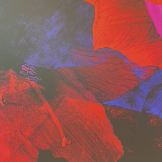 Exklusives Kunstwerk 'brave' von Theresa Lambrecht und Karolin Kruger, digitale Collage, die Mut und Naturverbundenheit darstellt, auf hochwertigem Alu-Dibond.