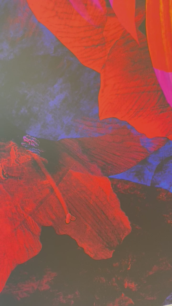Exklusives Kunstwerk 'brave' von Theresa Lambrecht und Karolin Kruger, digitale Collage, die Mut und Naturverbundenheit darstellt, auf hochwertigem Alu-Dibond.