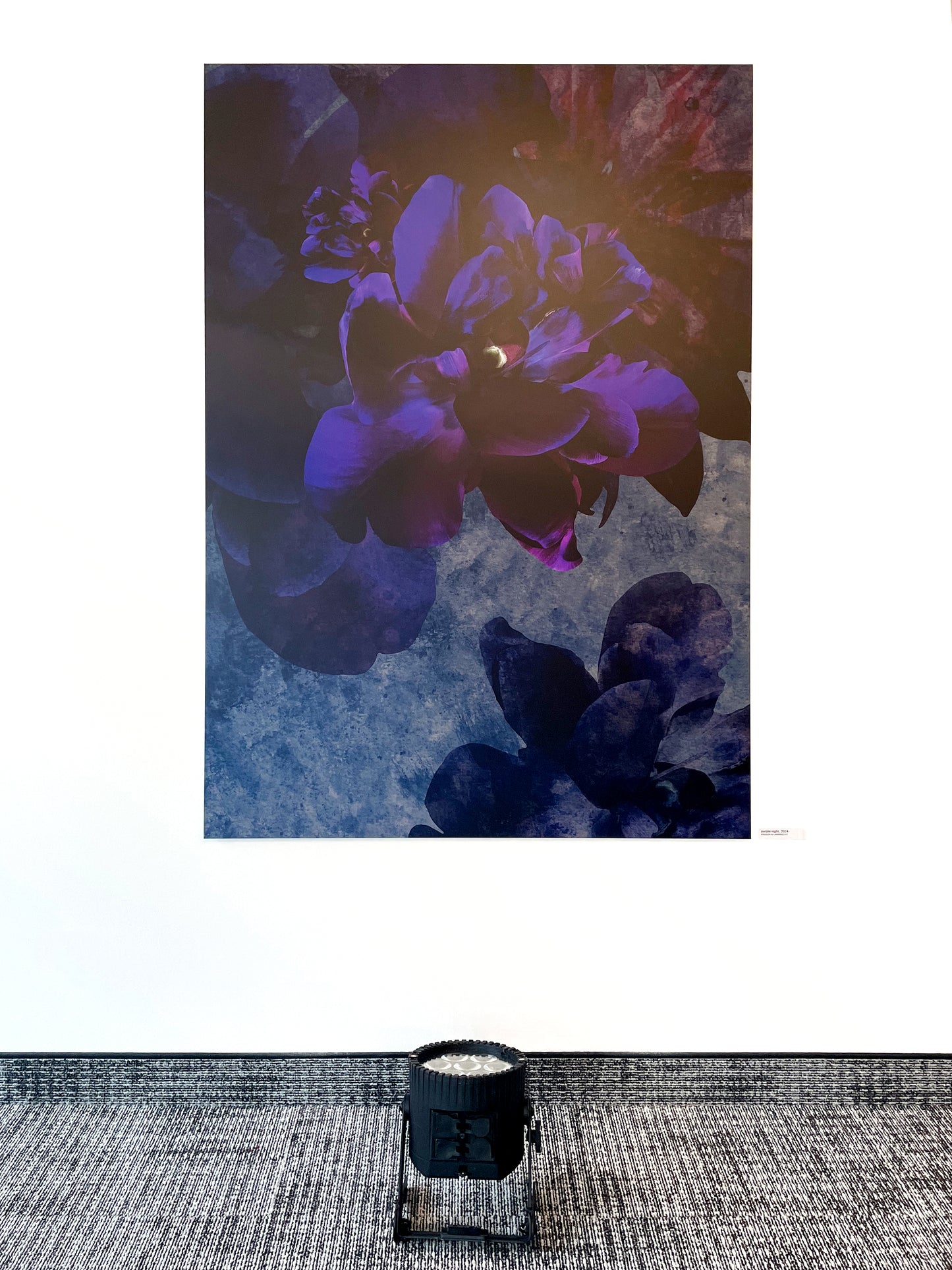 Exklusive digitale Collage 'purple night' von Theresa Lambrecht und Karolin Kruger, Darstellung einer mystischen lila Nacht, auf Alu-Dibond.