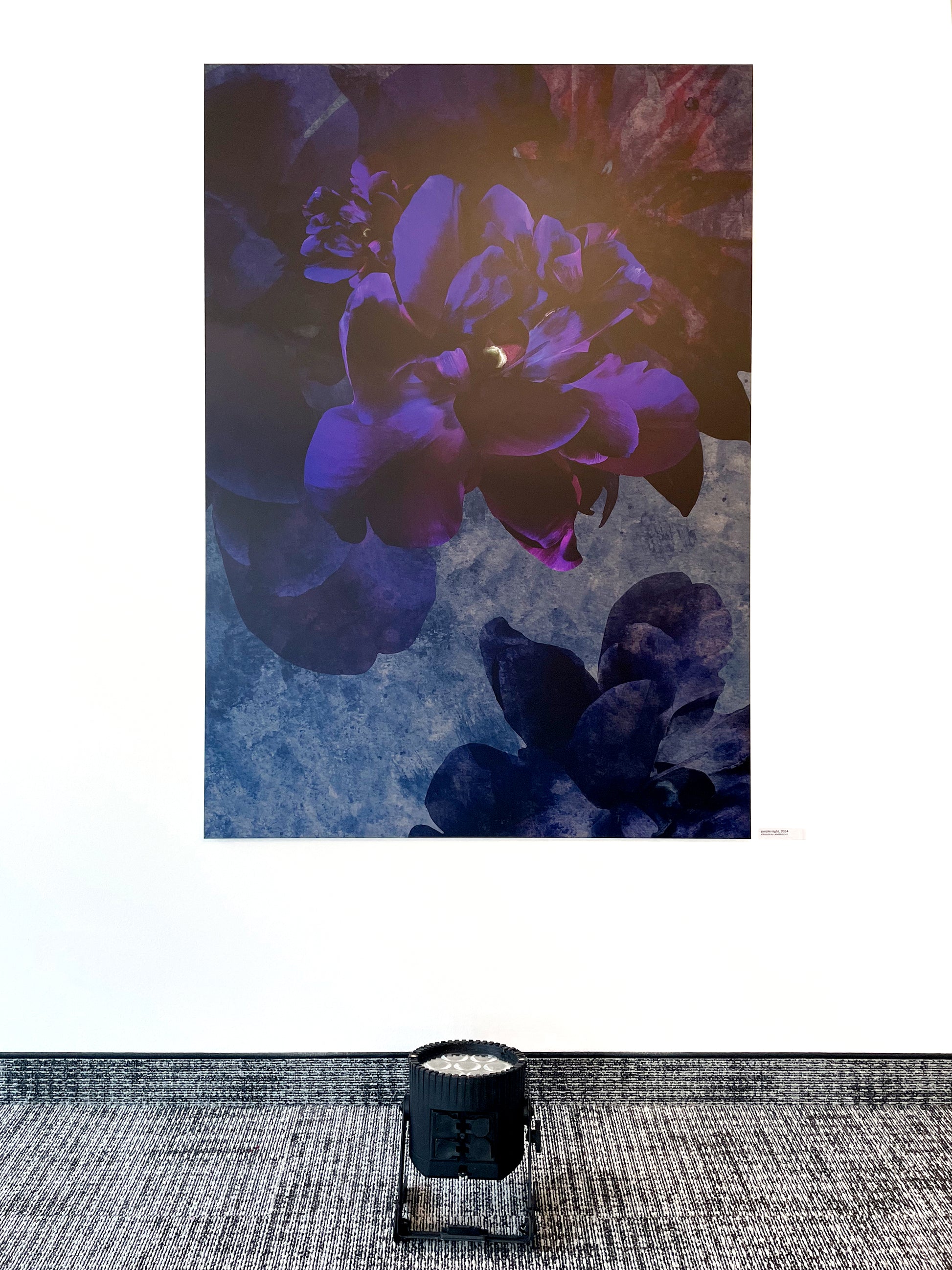 Exklusive digitale Collage 'purple night' von Theresa Lambrecht und Karolin Kruger, Darstellung einer mystischen lila Nacht, auf Alu-Dibond.