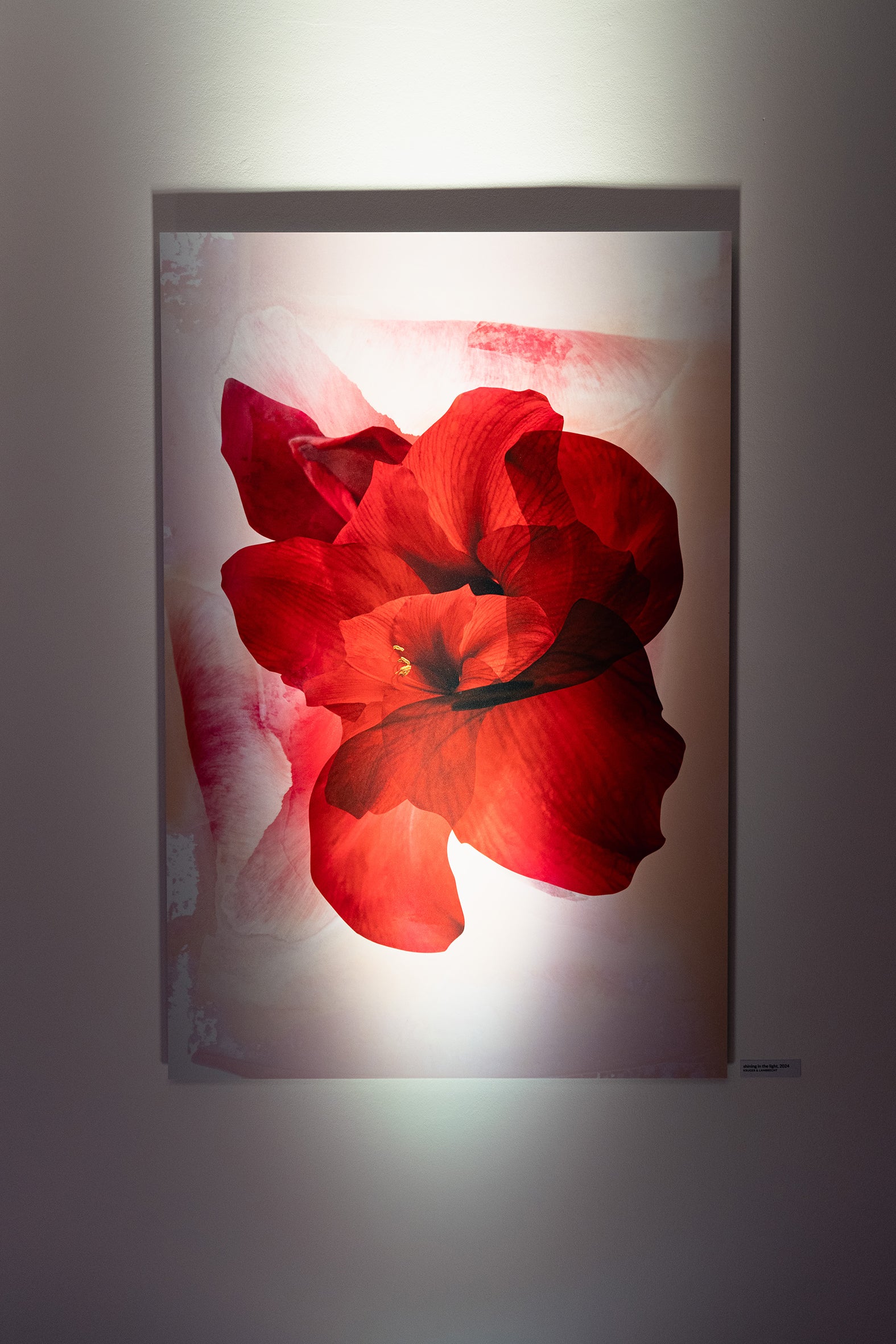 Kunstwerk 'shining in the light' von Theresa Lambrecht und Karolin Kruger, digitale Collage, die Licht und Natur in harmonischer Form zeigt, erhältlich auf Alu-Dibond.
