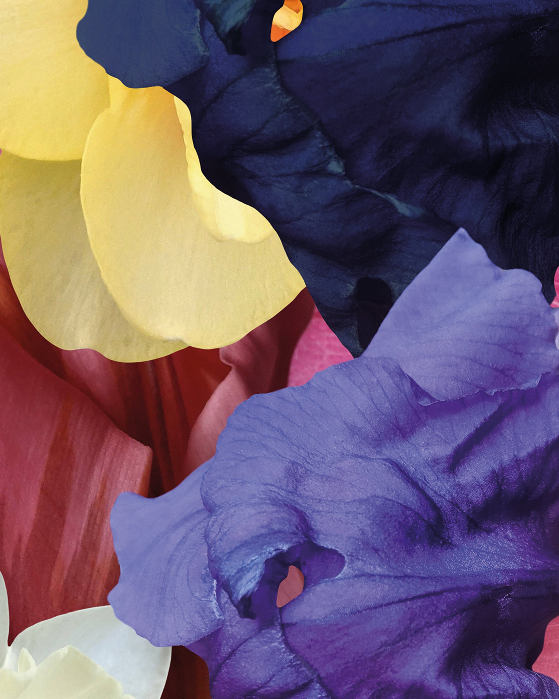 Kunstwerke von Theresa Lambrecht und Karolin Kruger aus der Ausstellung 'the garden in my heart' bei Dentons Kanzlei Berlin Gendarmenmarkt, digitale Kunst, Blumen Kunst, Großformate Blumen, Art for Sale, trust